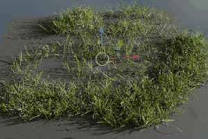 SendNodes curve based instancer